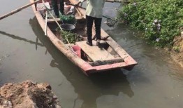 城固县污染爆料事件最新,揭秘污染源与治理措施