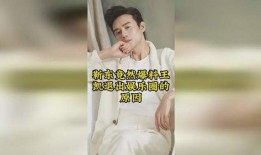 娱乐圈圈爆料王凯小说,娱乐圈幕后风云录