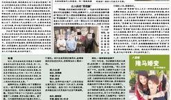 今日爆料前线新闻,揭秘娱乐圈最新猛料，真相即将揭晓！