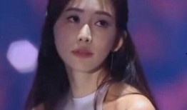 爆料娱乐圈网红有哪些名字,揭秘那些鲜为人知的名字之谜