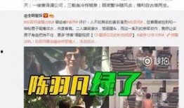 卓伟最新爆料曝光新闻视频,独家揭秘新闻视频背后的惊人真相