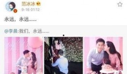 爆料娱乐圈网红小说推荐,网红小说中的璀璨星光与幕后风云